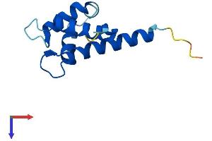 S100A11 Protein (AA 1-105) (His tag)
