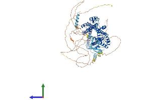AlphaFold protein structure predicition of Mouse Recombinant Prpf40b Protein, UniprotID Q80W14