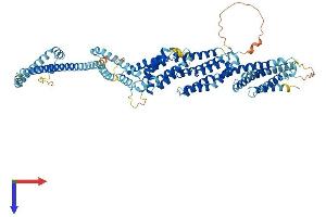 COG2 Protein (AA 1-731) (His tag)