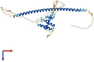 NAIF1 Protein (AA 1-327) (His tag)