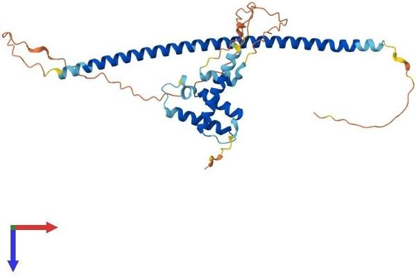 NAIF1 Protein (AA 1-327) (His tag)