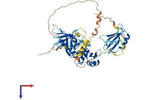 RBM45 Protein (AA 1-476) (His tag)