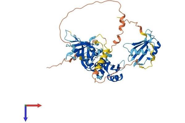 RBM45 Protein (AA 1-476) (His tag)