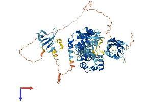SMURF1 Protein (AA 1-731) (His tag)