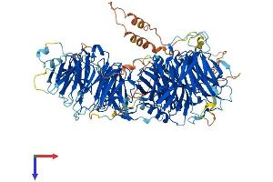 LLGL1 Protein (AA 1-1036) (His tag)