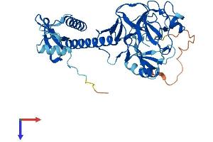 SUV39H1 Protein (AA 1-412) (His tag)