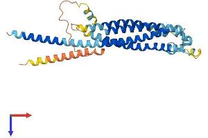 GPM6B Protein (AA 1-328) (His tag)