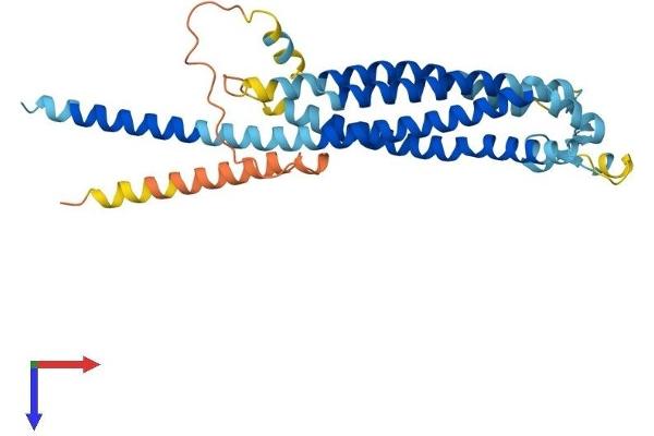 GPM6B Protein (AA 1-328) (His tag)