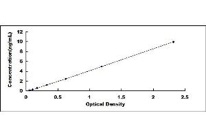 Typical standard curve (ABCC2 ELISA Kit)