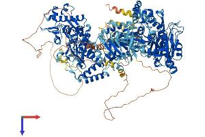 NOS1 Protein (AA 1-1429) (His tag)