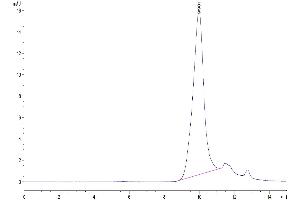 The purity of SARS-COV-2 Spike RBD is greater than 95 % as determined by SEC-HPLC.