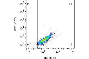 Cell surface multicolor flow cytometry analysis of live intact mouse  microglia cells with CD81 and TREM2: cells were labeled with Anti-CD81 (extracellular)-FITC Antibody (ABIN7582017), (5 μg) and with Anti-TREM2 (extracellular)-PE Antibody (ABIN7043867, ABIN7045598, ABIN7045599 and ABIN7045600), (5 μg). (CD81 Antikörper  (Extracellular) (FITC))