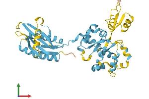 Protein Structure (PS) image for Nitrogen Permease Regulator-Like 2 (S. Cerevisiae) (NPRL2) (AA 1-380) protein (His tag) (ABIN7565219)
