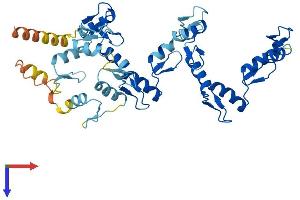 ZNF260 Protein (AA 1-412) (His tag)