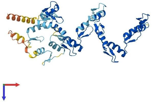 ZNF260 Protein (AA 1-412) (His tag)