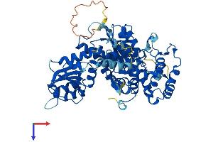 STXBP2 Protein (AA 1-593) (His tag)