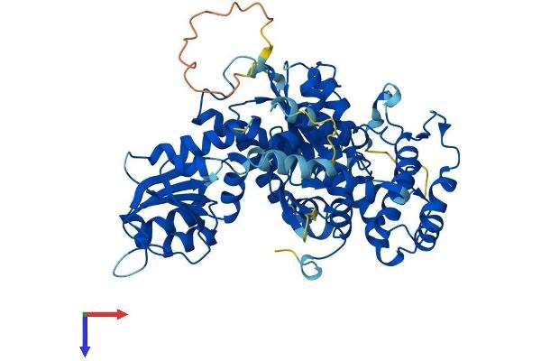 STXBP2 Protein (AA 1-593) (His tag)