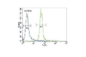 HRX Antibody (C-term) (ABIN387979 and ABIN2844802) flow cytometric analysis of CEM cells (right histogram) compared to a negative control cell (left histogram). (MLL/KMT2A Antikörper  (C-Term))