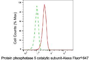 anti-Protein Phosphatase 5, Catalytic Subunit (PPP5C) antibody