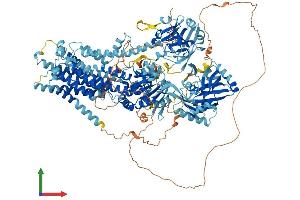 Protein Structure (PS) image for ATPase, Aminophospholipid Transporter, Class I, Type 8B, Member 3 (ATP8B3) (AA 1-1335) protein (His tag) (ABIN7564152)