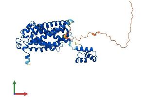 AlphaFold protein structure predicition of Human Recombinant CERS6 Protein, UniprotID Q6ZMG9