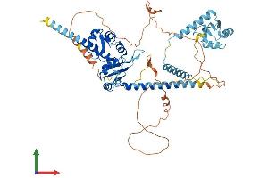 Protein Structure (PS) image for La Ribonucleoprotein Domain Family, Member 7 (LARP7) (AA 1-570) protein (His tag) (ABIN7556901)