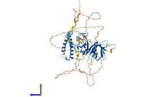 Protein Structure (PS) image for SH2B Adaptor Protein 2 (SH2B2) (AA 1-621) protein (His tag) (ABIN7565086)