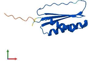 Protein Structure (PS) image for Dynein, Light Chain, Tctex-Type 3 (DYNLT3) (AA 1-116) protein (His tag) (ABIN7556471)