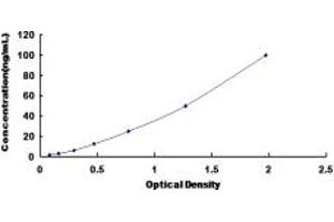 Typical standard curve (PALMD ELISA Kit)