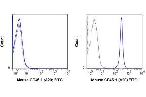 Flow Cytometry of anti-CD45. (CD45 Antikörper  (FITC))