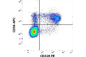 Flow cytometry multicolor surface staining of human peripheral whole blood stained using anti-human CD328 (6-434) PE antibody (10 μL reagent / 100 μL of peripheral whole blood) and anti-human CD56 (LT56) APC antibody (10 μL reagent / 100 μL of peripheral whole blood).