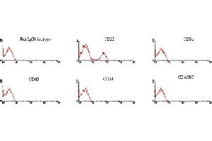 ELISA image for Mouse anti-Rat IgG1 antibody (FITC) (ABIN371211) (Maus anti-Ratte IgG1 Antikörper (FITC))