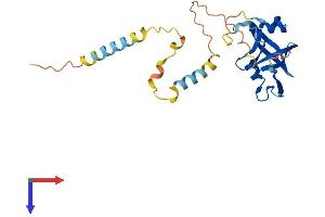 NRIP3 Protein (AA 1-240) (His tag)