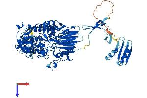 INTS9 Protein (AA 1-658) (His tag)