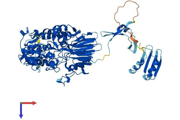 INTS9 Protein (AA 1-658) (His tag)