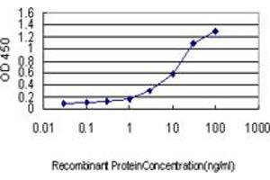 Detection limit for recombinant GST tagged CSE1L is approximately 0. (Exportin 2 Antikörper  (AA 872-971))
