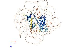 ARHGEF5 Protein (AA 1-1581) (His tag)