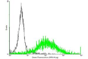 FACS analysis of negative control 293 cells (Black) and CCRL2 expressing 293 cells (Green) using CCRL2 purified MaxPab mouse polyclonal antibody. (CCRL2 Antikörper  (AA 1-344))