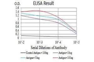 Black line: Control Antigen (100 ng),Purple line: Antigen (10 ng), Blue line: Antigen (50 ng), Red line:Antigen (100 ng) (CEACAM1 Antikörper  (AA 65-201))