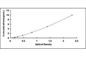 IRF3 ELISA Kit