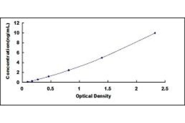 IRF3 ELISA Kit