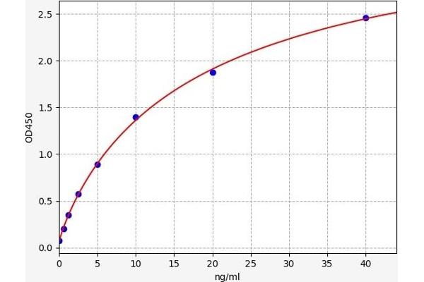 IARS ELISA Kit