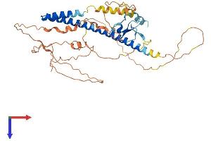 ING1 Protein (AA 1-422) (His tag)