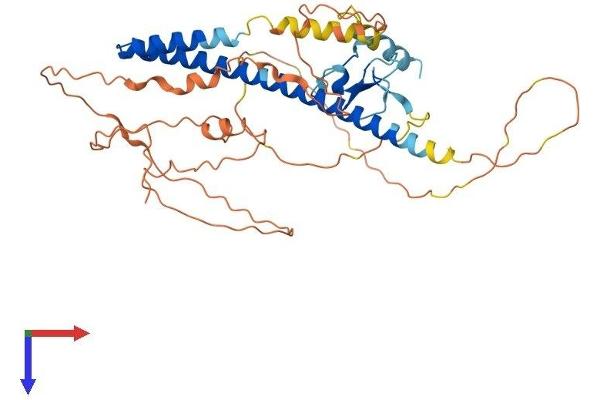 ING1 Protein (AA 1-422) (His tag)