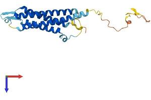 SYNGR2 Protein (AA 1-224) (His tag)