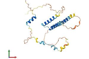 Protein Structure (PS) image for SERTA Domain Containing 1 (SERTAD1) (AA 1-236) protein (His tag) (ABIN7546282)