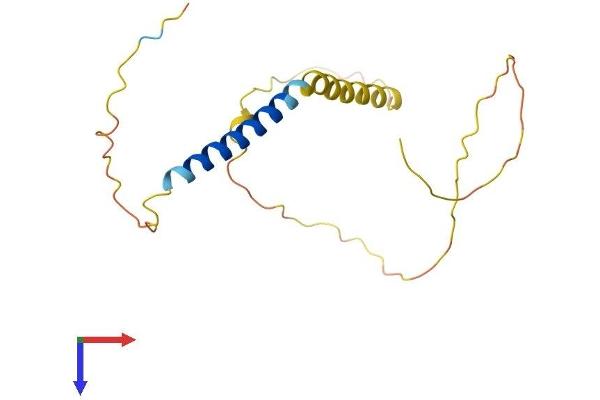 KCNE4 Protein (AA 1-170) (His tag)