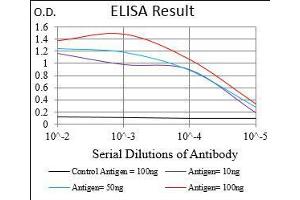 Black line: Control Antigen (100 ng), Purple line: Antigen(10 ng), Blue line: Antigen (50 ng), Red line: Antigen (100 ng), (GABBR2 Antikörper  (AA 319-483))