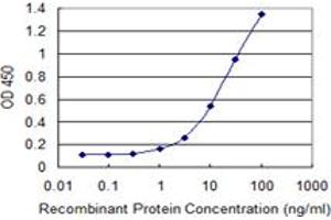 Detection limit for recombinant GST tagged ZNF268 is 0. (ZNF268 Antikörper  (AA 1-90))