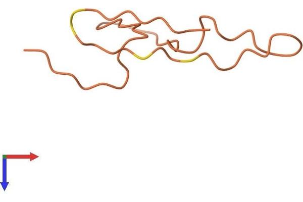 KRTAP6-2 Protein (AA 1-62) (Fc Tag)